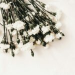 white flower on white surface