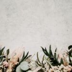 green plant on white concrete floor