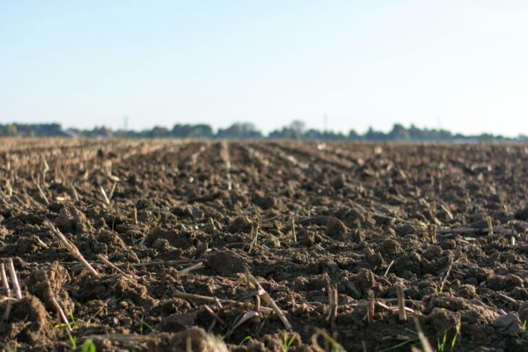 A close-up image of a freshly plowed farmland in springtime, ready for new crops.