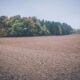 A serene view of rural farmland bordered by lush forest trees on an overcast day.