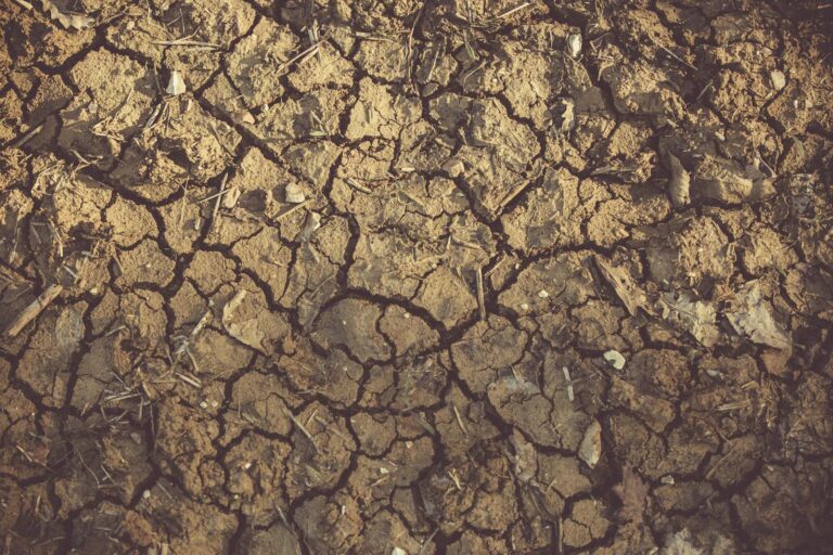 Close-up of cracked, arid soil showing detailed textures and patterns, indicative of drought conditions.