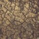 Close-up of cracked, arid soil showing detailed textures and patterns, indicative of drought conditions.