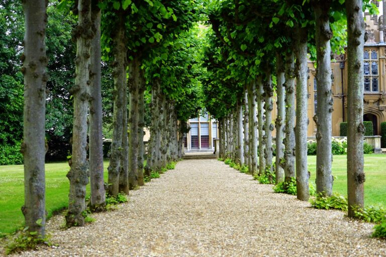 Peaceful garden walkway with trees leading to a historic building.