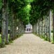 Peaceful garden walkway with trees leading to a historic building.