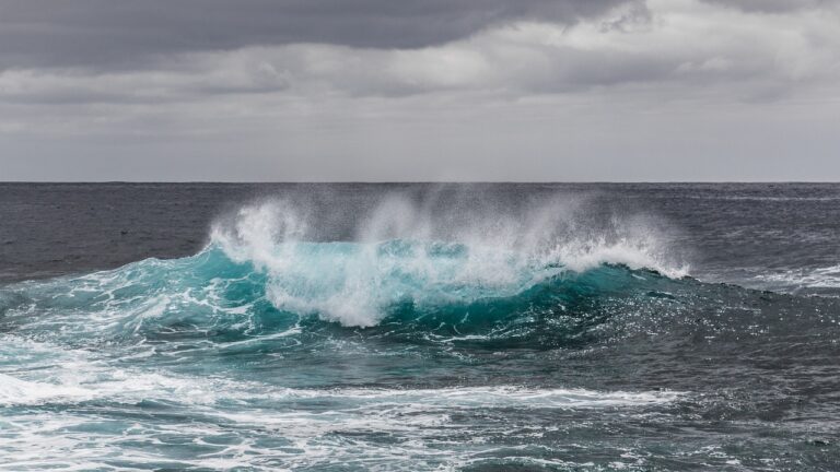 water, sea, waves