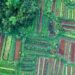 Aerial view of lush, diverse crops and greenery in Cisauk, Indonesia.