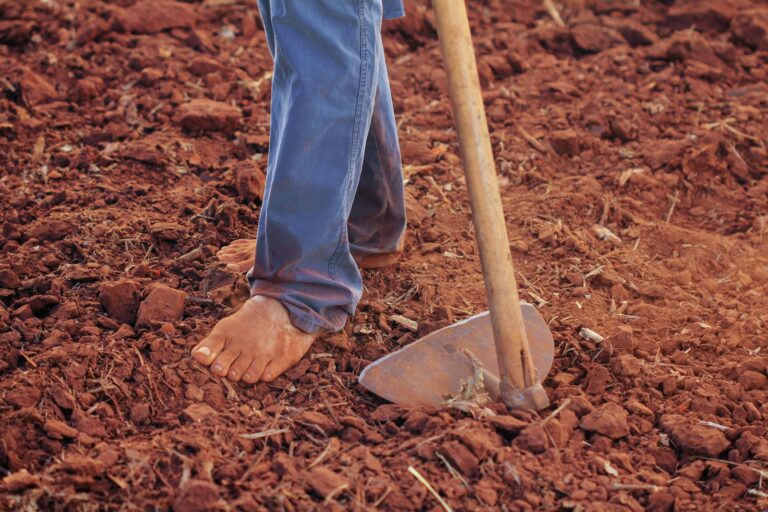 Close-up of a barefoot farmer using a shovel to till soil in a field.