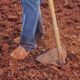 Close-up of a barefoot farmer using a shovel to till soil in a field.