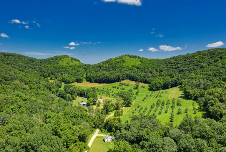 Vibrant aerial view of rural farmland in Dakota, MN surrounded by green hills.