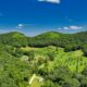 Vibrant aerial view of rural farmland in Dakota, MN surrounded by green hills.