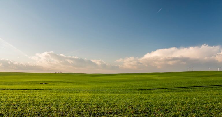 Expansive green meadow under a blue sky with wind turbines in the distance.