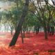 flowers, trees, park