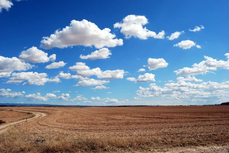 Expansive rural field with fluffy clouds and a clear blue sky.