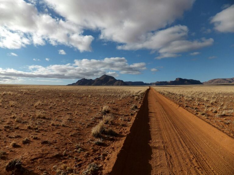 Expansive desert scene with a dirt road leading towards distant mountains under a cloudy sky.