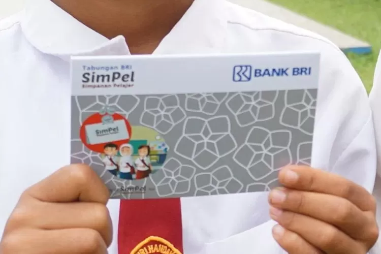 Cara Cek PIP SD yang Belum Dicairkan: Langkah-Langkah Mudah untuk Memastikan Dana Tersalurkan