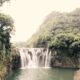 waterfall in forest