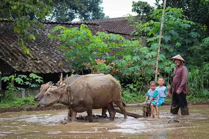 Menikmati Pesona Desa Wisata Lerep dengan 5 Kegiatan Menarik