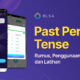 Rumus Past Perfect Tense dan Cara Menggunakannya dalam Percakapan Sehari-hari