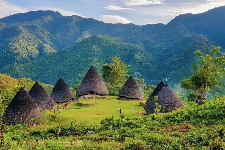 Sensasi Tak Terlupakan Nikmatnya Kopi Wae Rebo yang Sulit Dilupakan